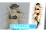 draw custom anime dakimakura body pillow illustration sfw or nsfw